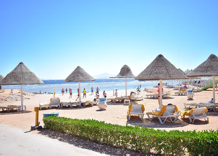 אתר נופש Parrotel Aqua Park