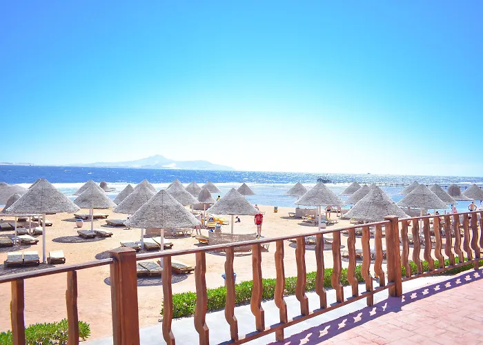 Parrotel Aqua Park Resort 4*